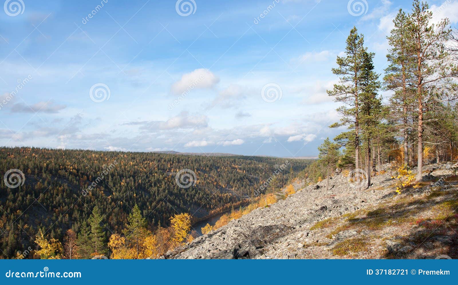 colorful autum valley in taiga, finland