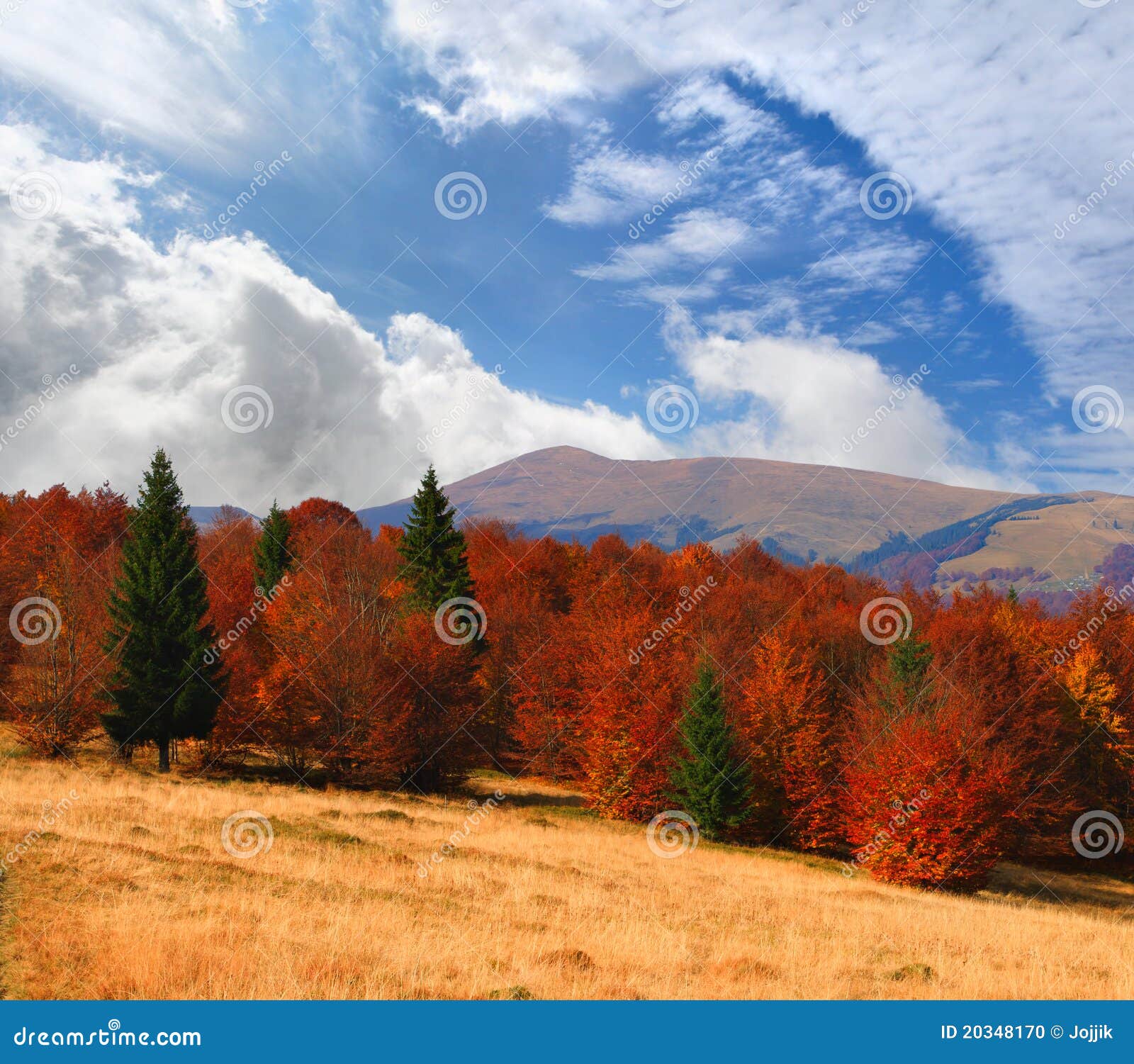 Colorful Autumn Landscape Stock Photo Image Of Beauty 20348170