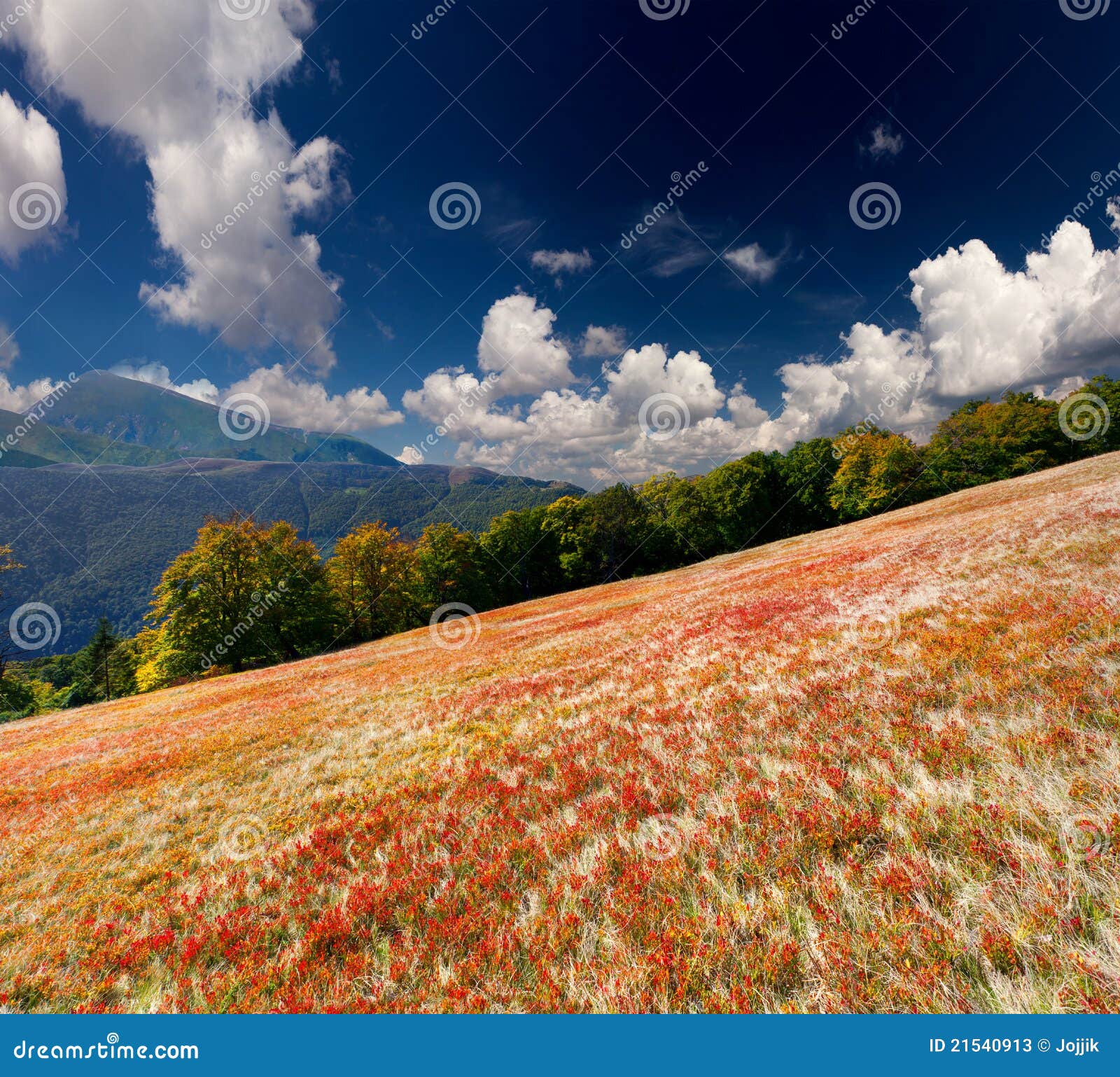 Colorful Autumn Landscape Stock Image Image Of Light 21540913