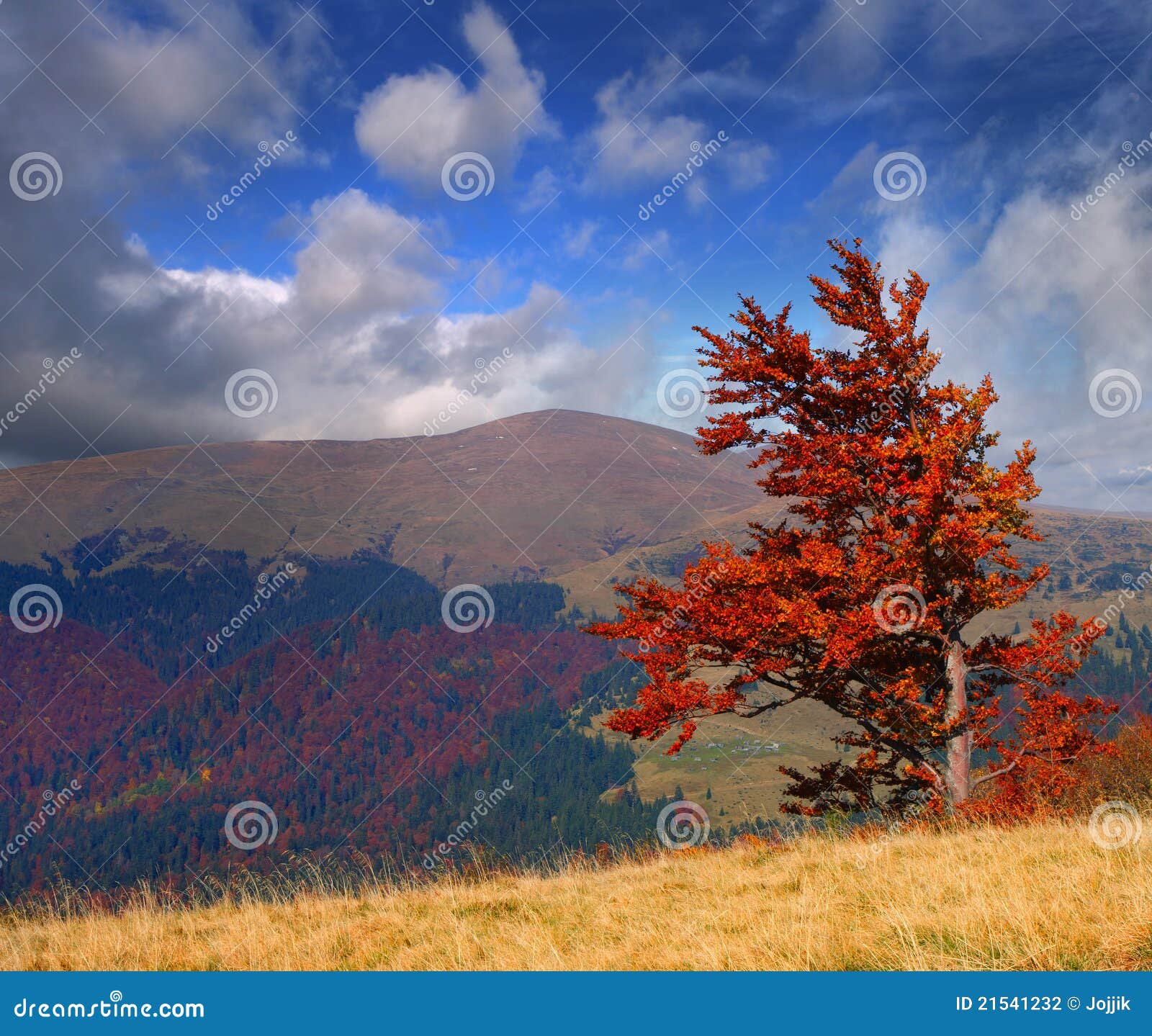 Colorful Autumn Landscape Stock Photo Image Of Environment 21541232