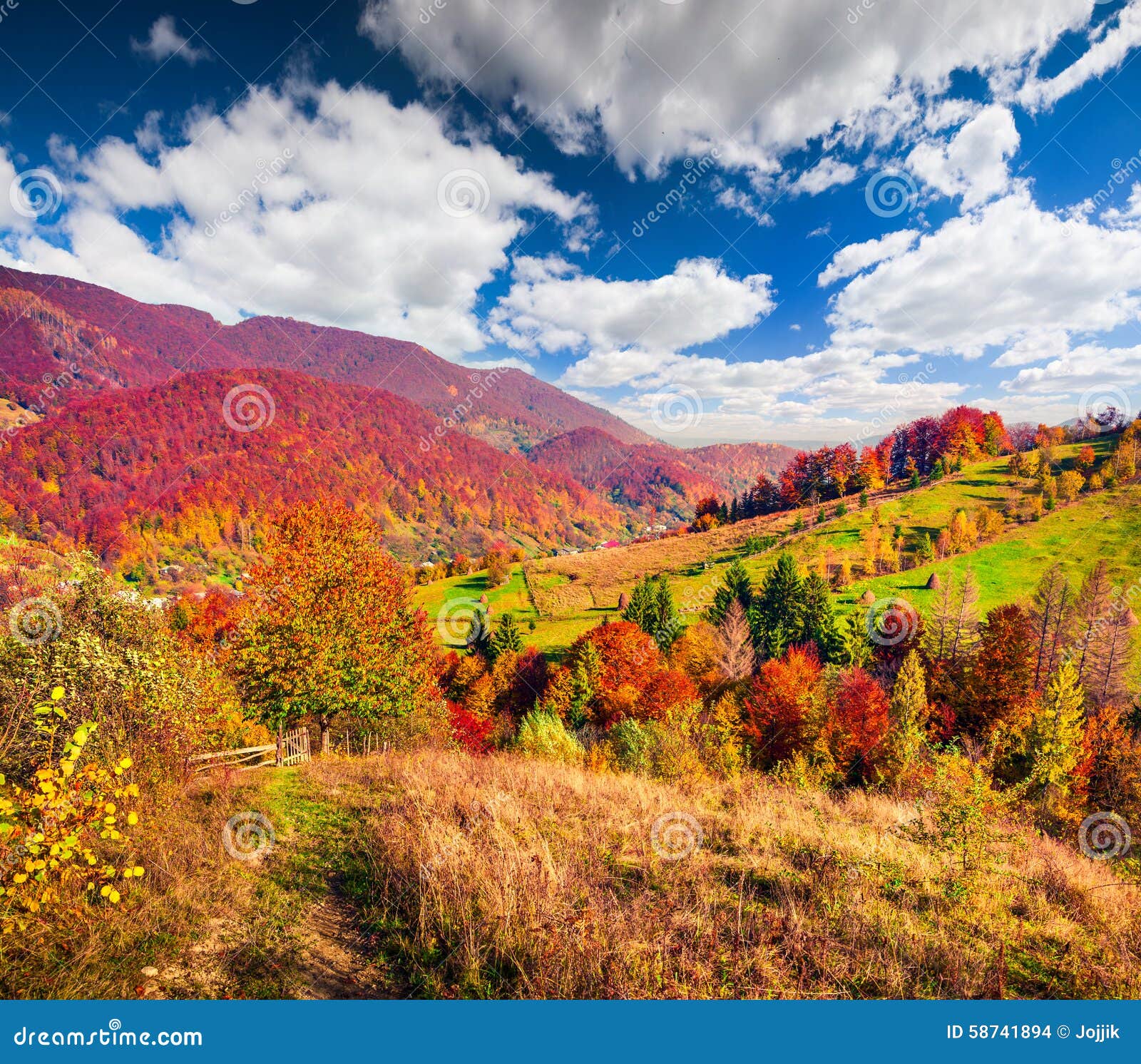 Colorful Autumn Landscape In The Carpathian Mountains Stock Photo