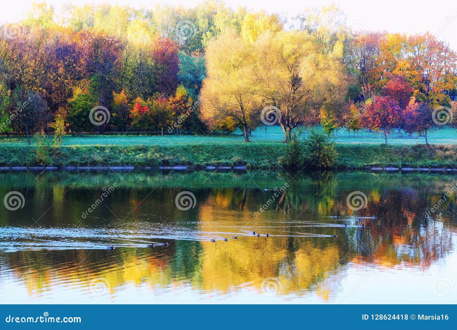 Colorful Autumn Landscape Stock Photo Image Of Plants 128624418