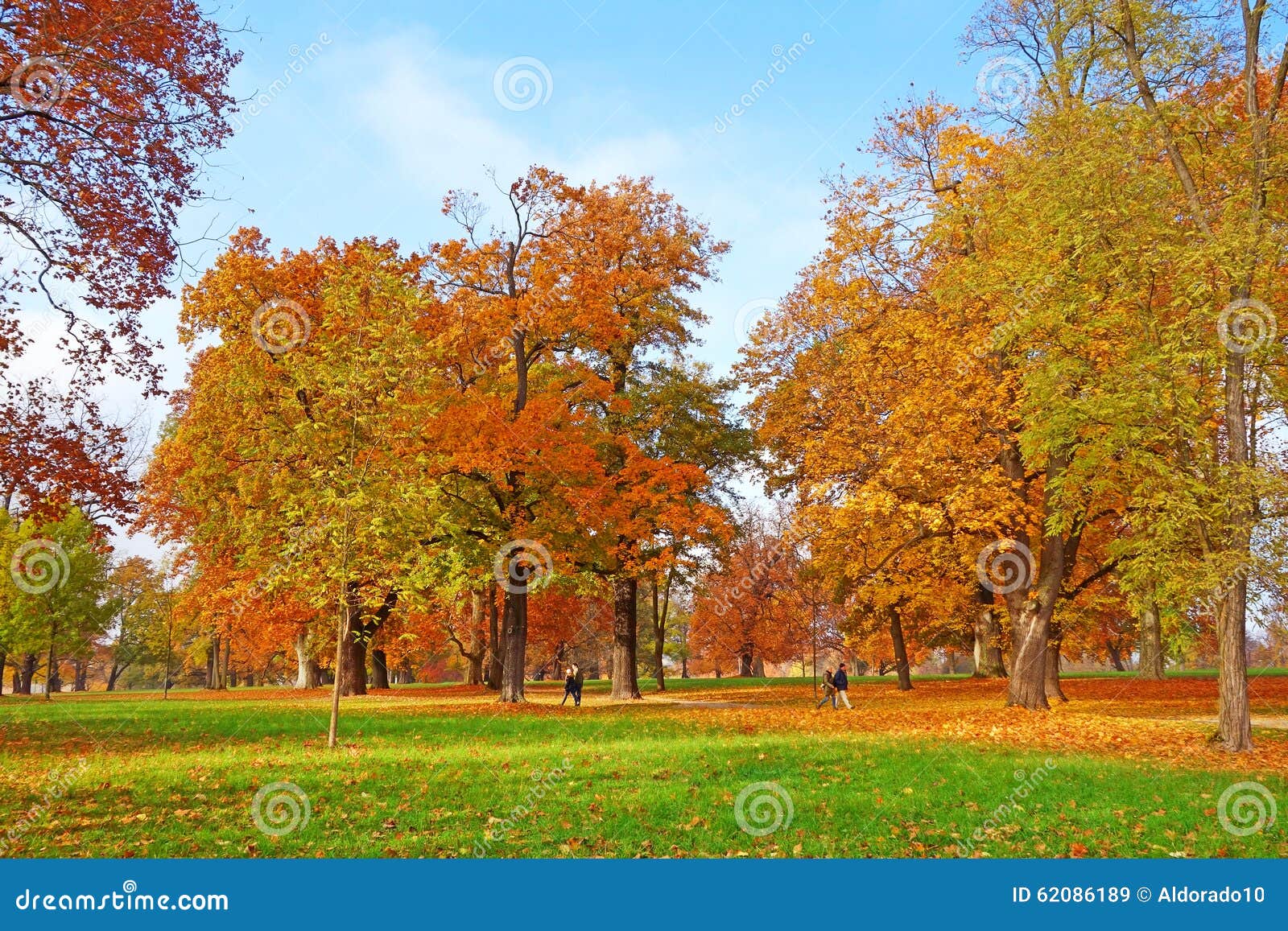 Colorful Autumn Landscape Stock Image Image Of Crowns 62086189