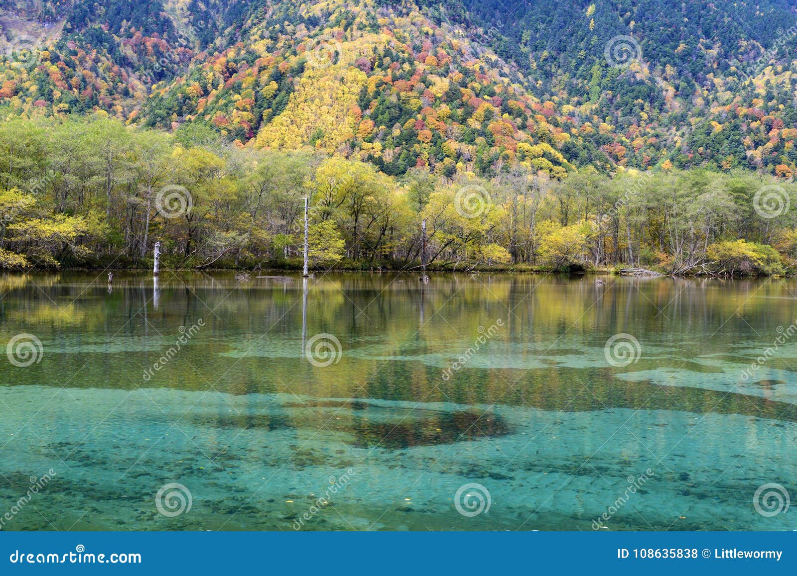 Taisho Pond Kamikochi Japan Stock Photo Image Of Mountain Reflection