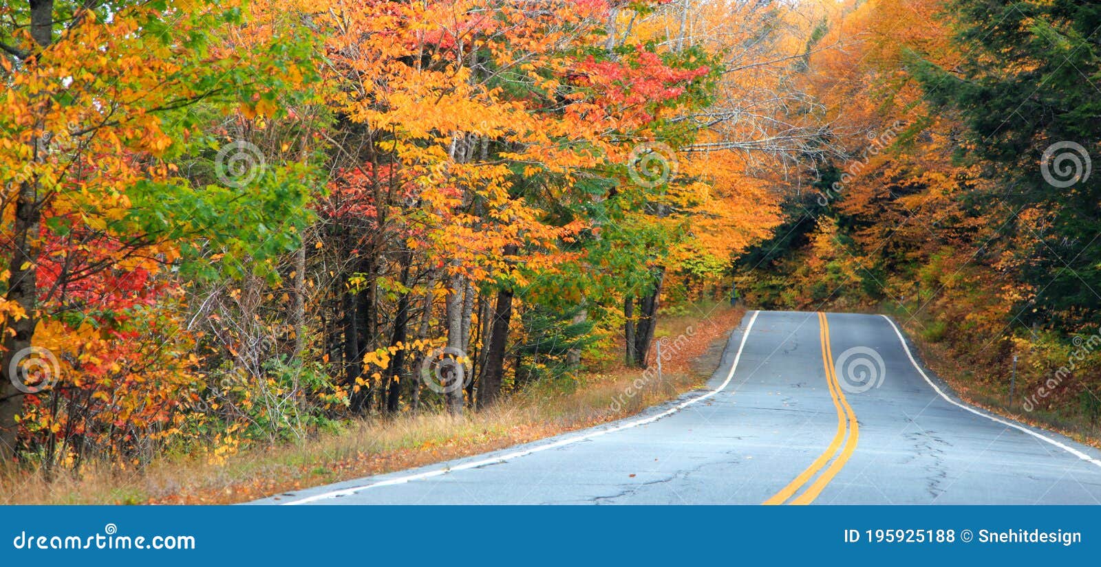 autumn trees along scenic route in new hampshire