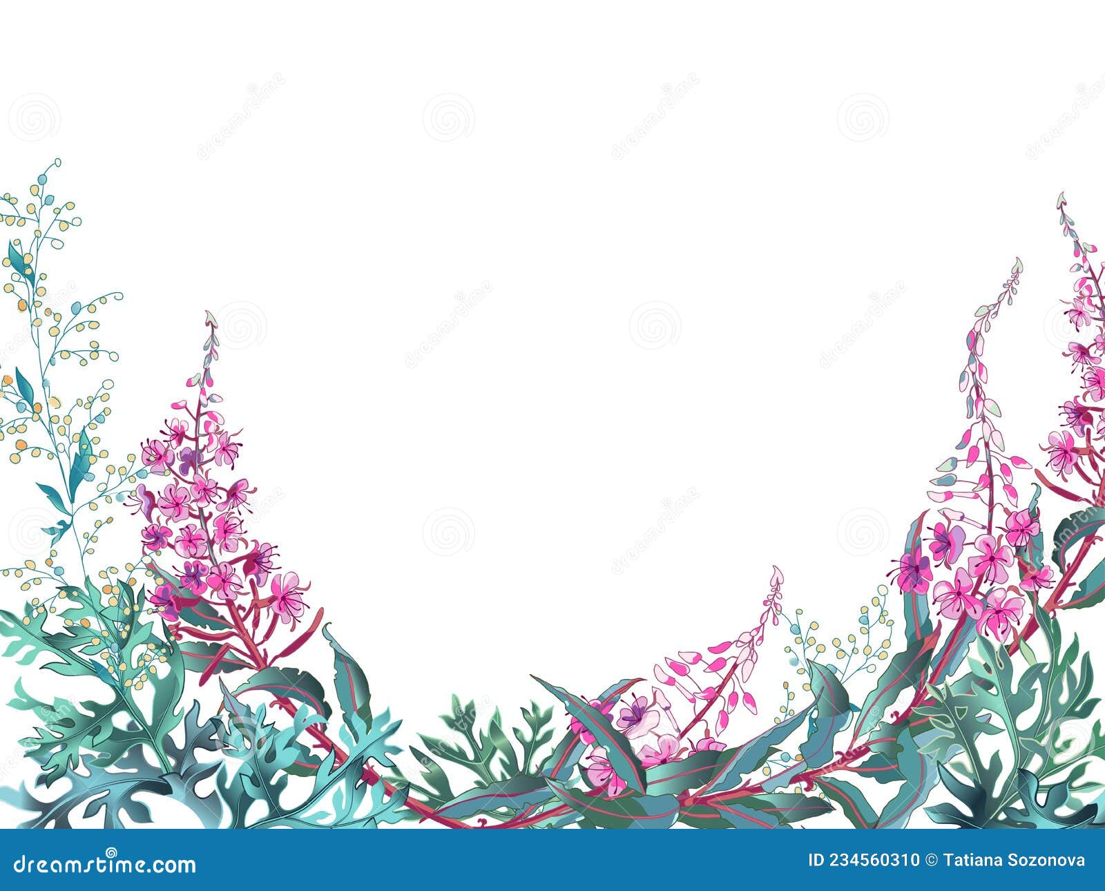 Fireweed Plant. Medicinal Useful Plant Ivan-Chai Vector Illustration ...