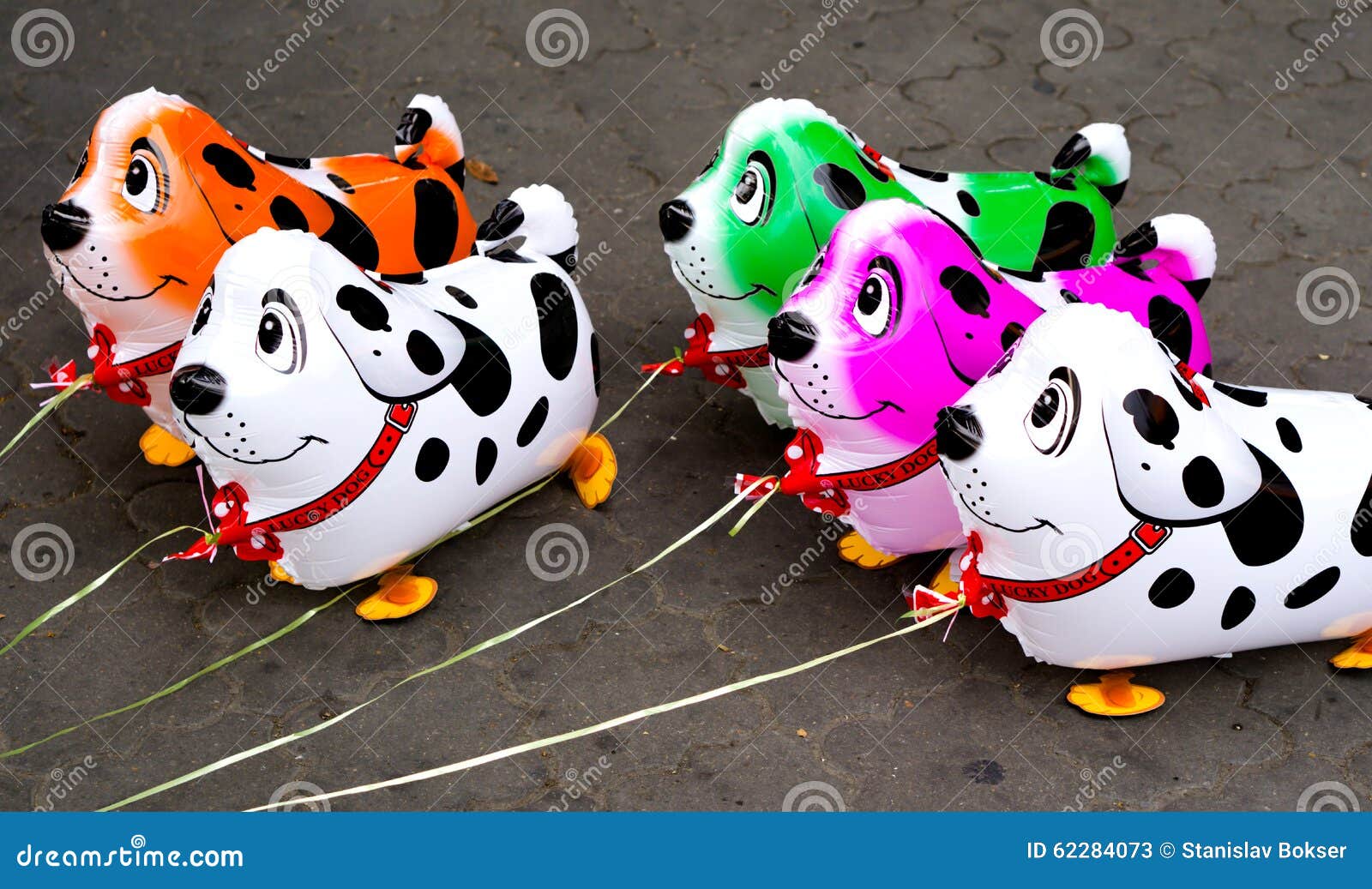 Colorful Balloons in Form of Dogs Stock Image Image of grey