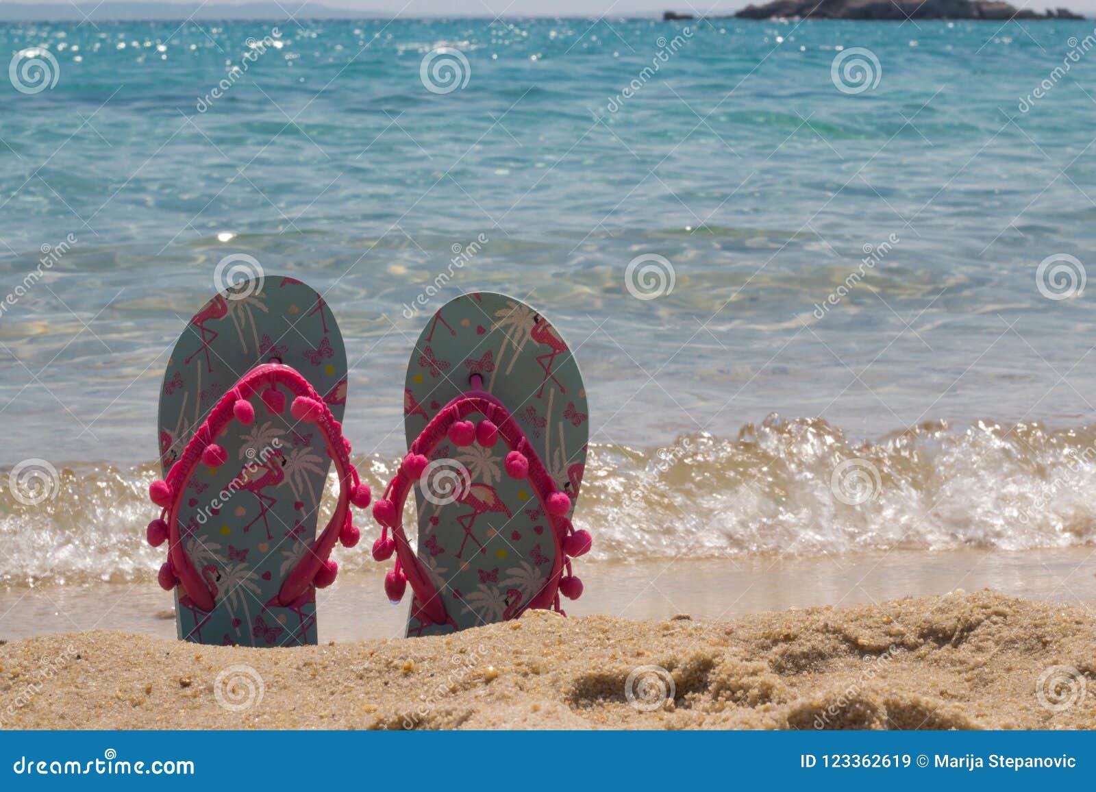 sea slippers