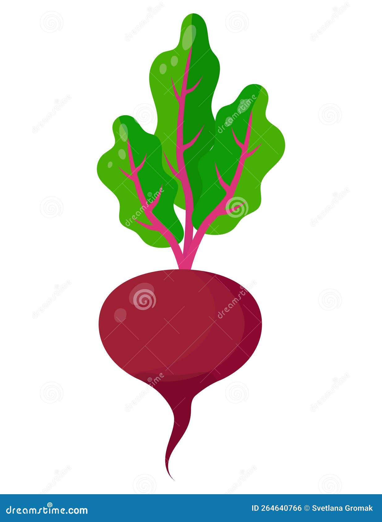 Colorful Beetroot Pattern. Healthy Vegetables Stock Vector