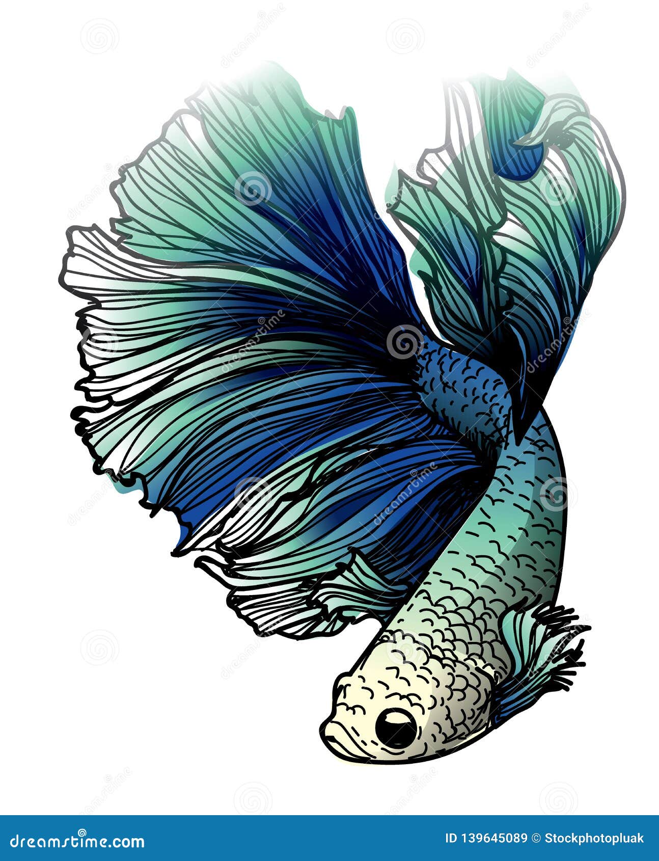 Premium Vector | Beautiful betta fish illustration