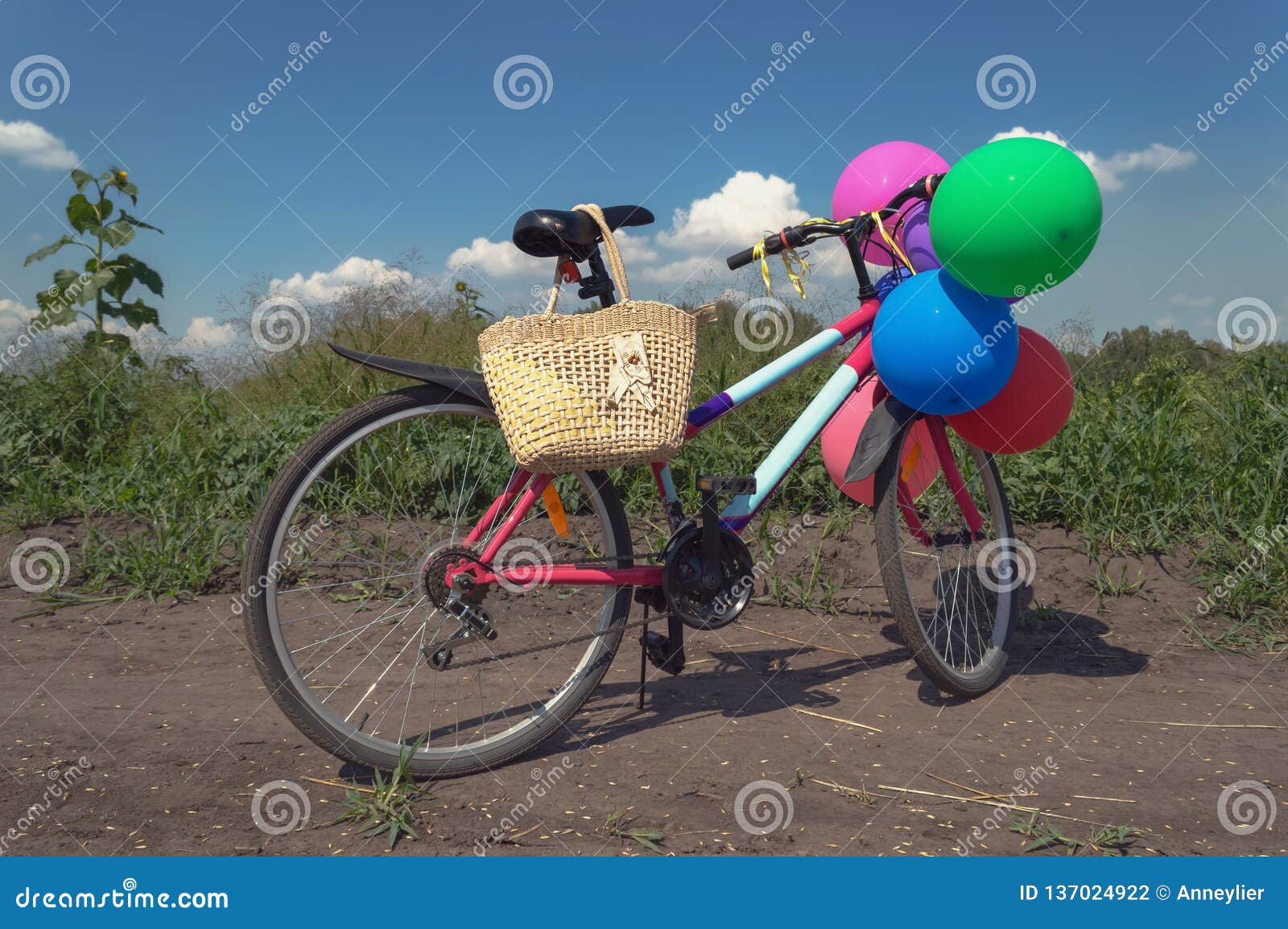 Download Colorful Bicycle Decorated With Balloons And Straw Bag ...