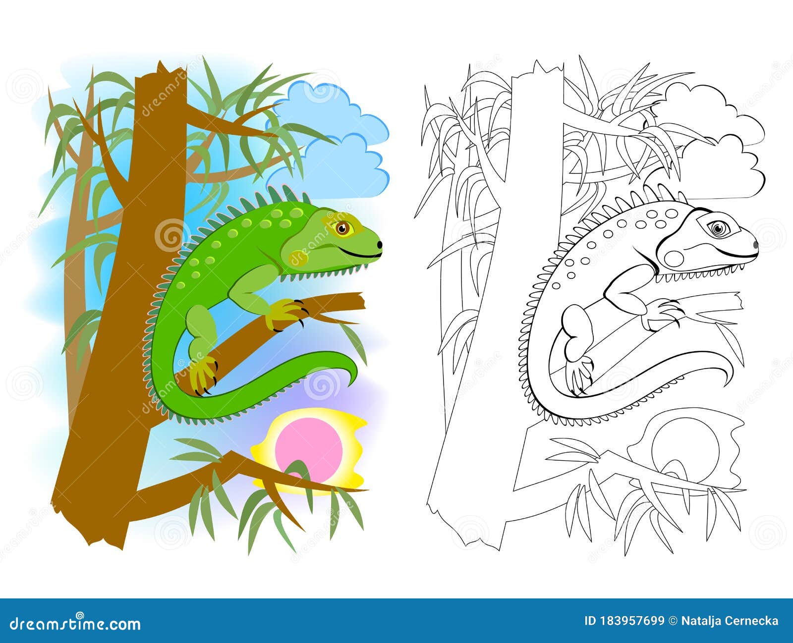 Download Colorful And Black And White Page For Kids Coloring Book ...