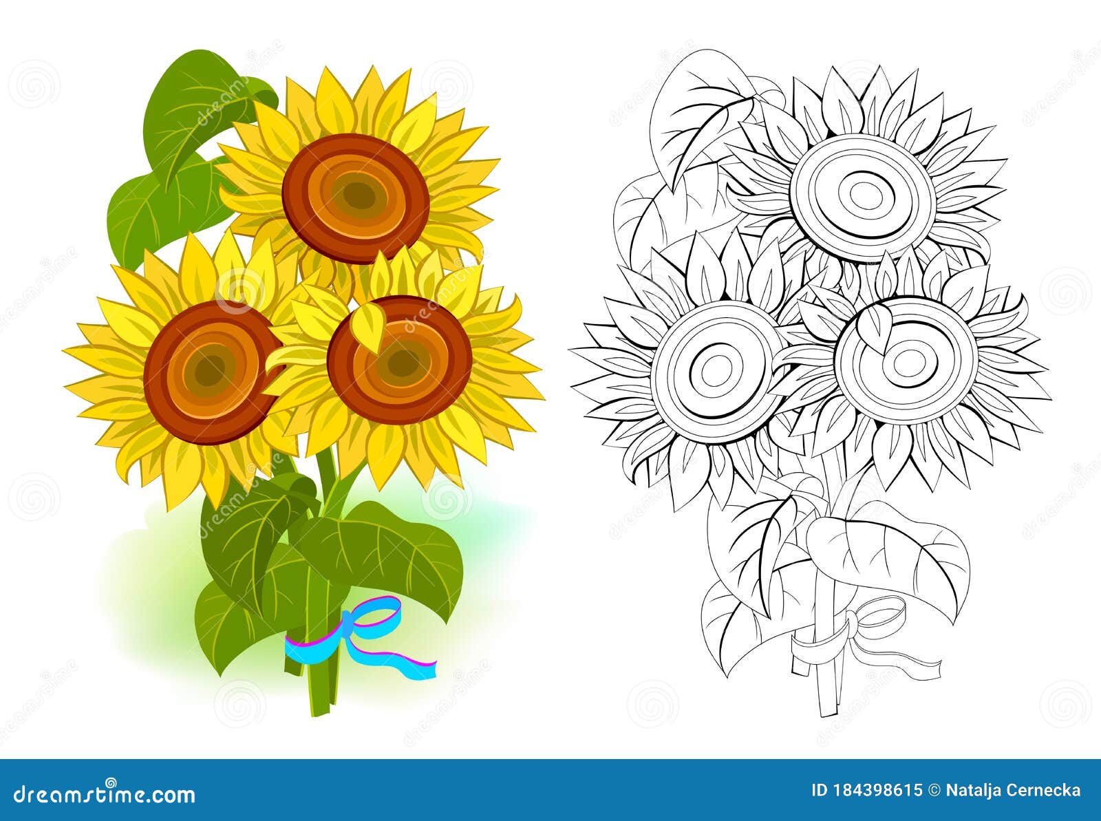 Colorful And Black And White Template For Coloring Illustration Of A Bouquet Of Sunflowers Draw The Greeting Card With Flowers Stock Vector Illustration Of Field Drawing 184398615