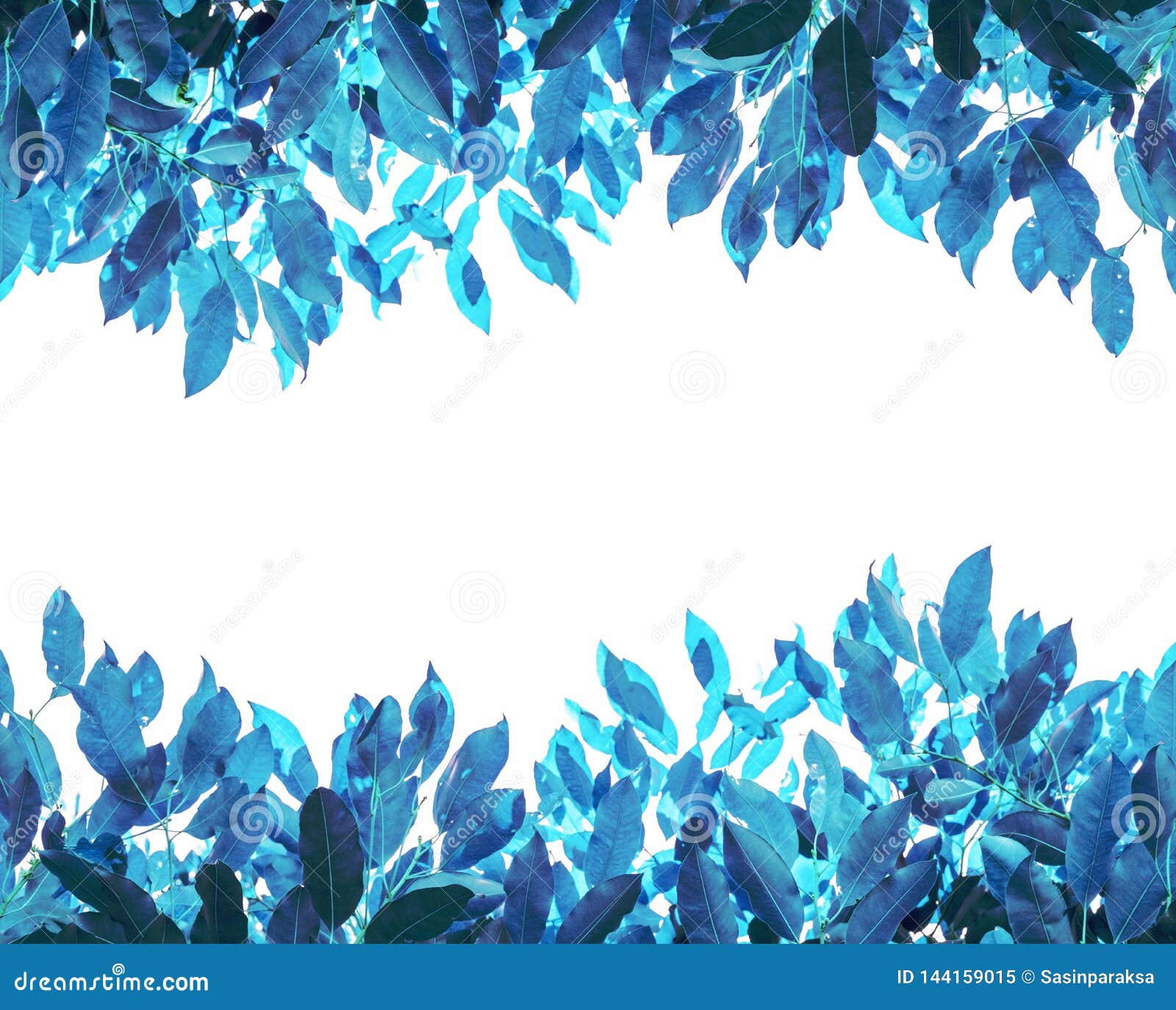 Colorful Blue Leaves, on White Background Stock Image - Image of ornament,  colorful: 144159015