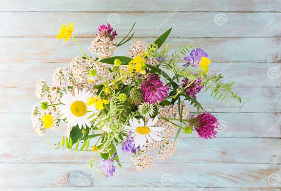 Colorful Bouquet of Meadow Flowers on a Chalkboard Background. Summer ...