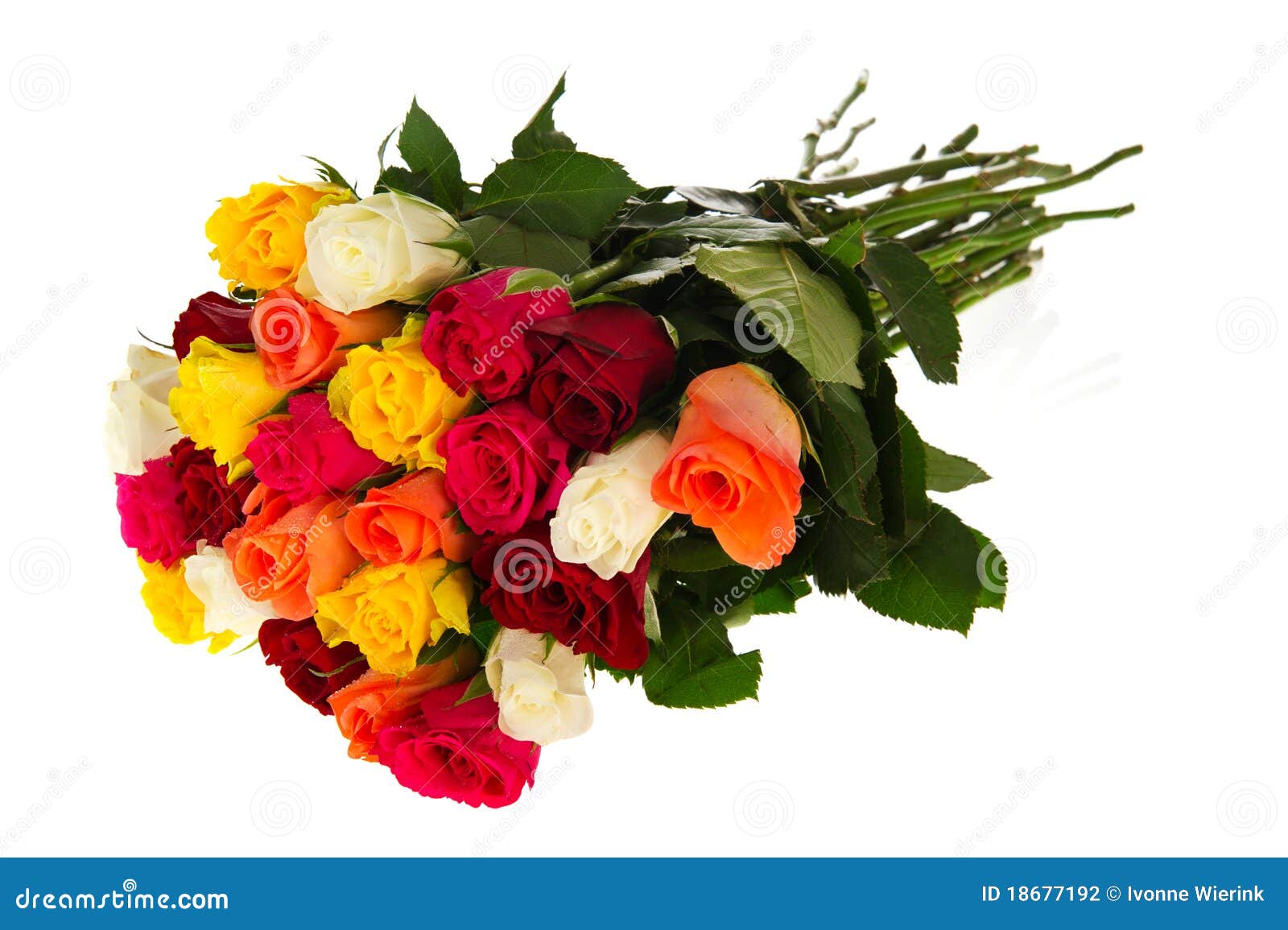 Colorful bouquet roses stock photo. Image of studio, orange 18677192