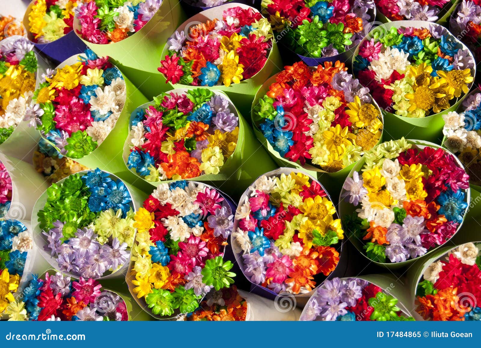 Colorful Bunches of Small Flowers Stock Image Image of texture