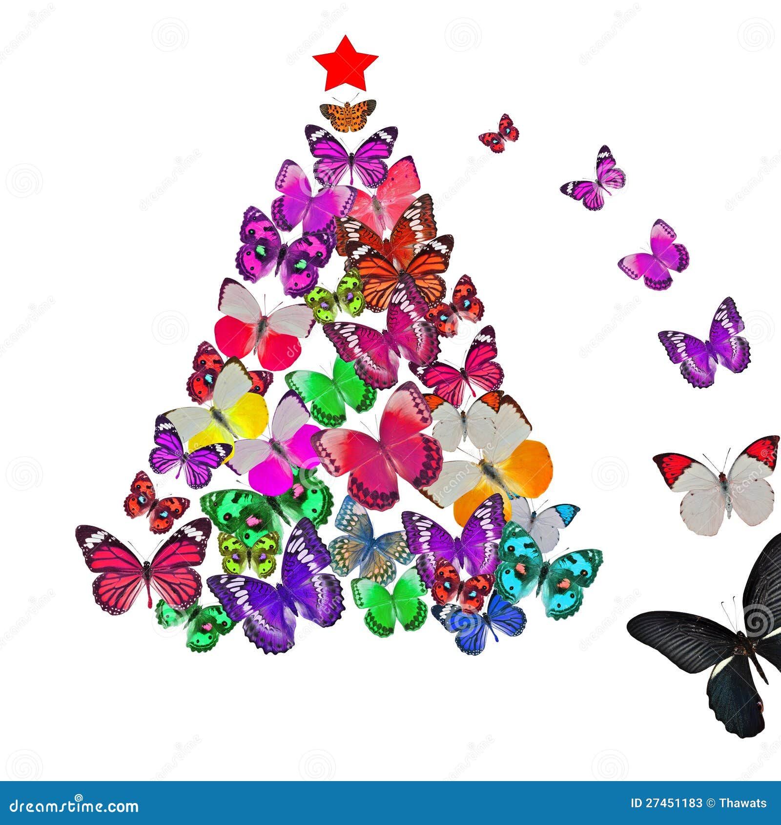 Colorful Butterfly Christmas Card Stock Photos Image 27451183