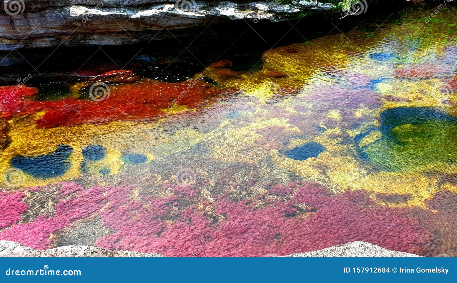 multicolored river cano cristales, serrania de la macarena national park, colombia
