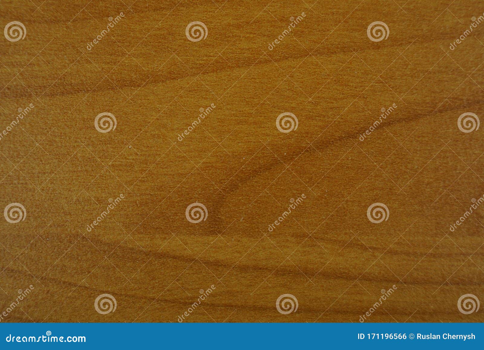 colorful color of the palette background texture