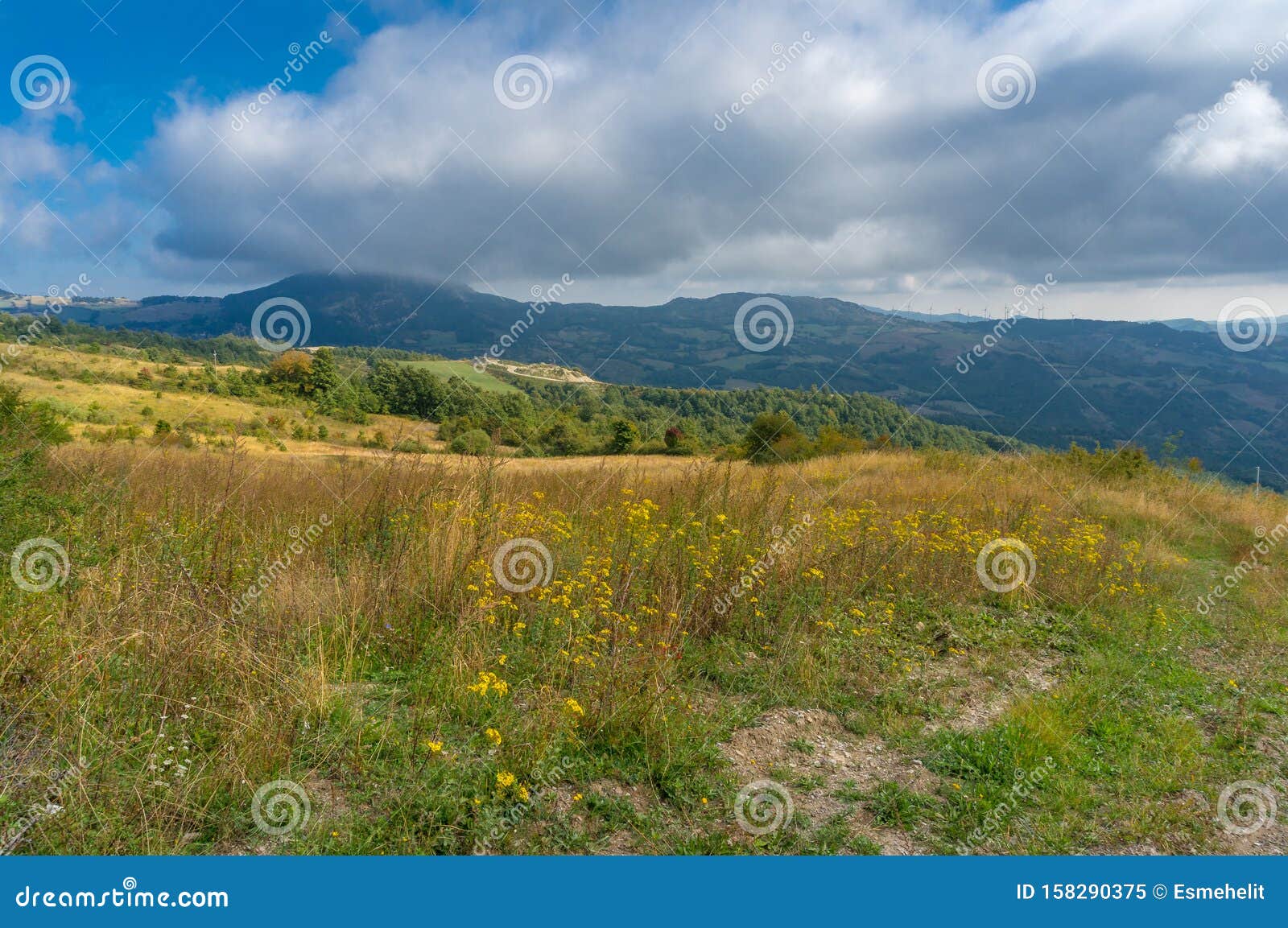 Colorful Countryside Nature Background Landscape with Mountains in the Distance Stock Image Image of bright, panorama: 158290375