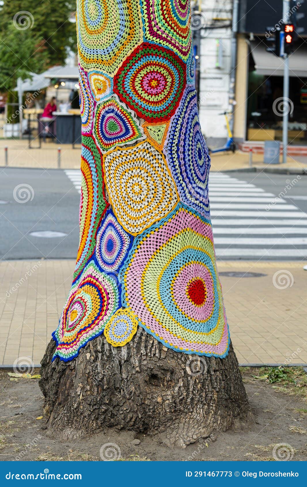 Colorful Crochet Knit on Tree Trunk in Kyiv, Ukraine. Street Art