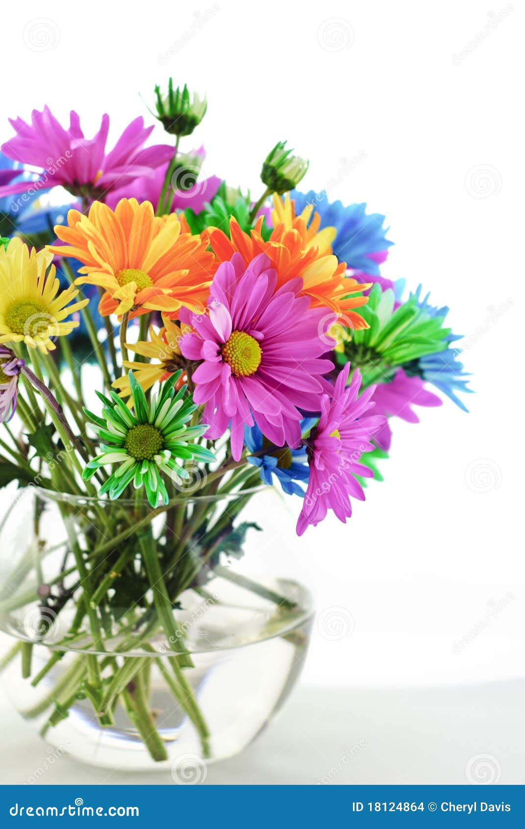 Colorful Daisies in a Vase stock photo. Image of flower 18124864