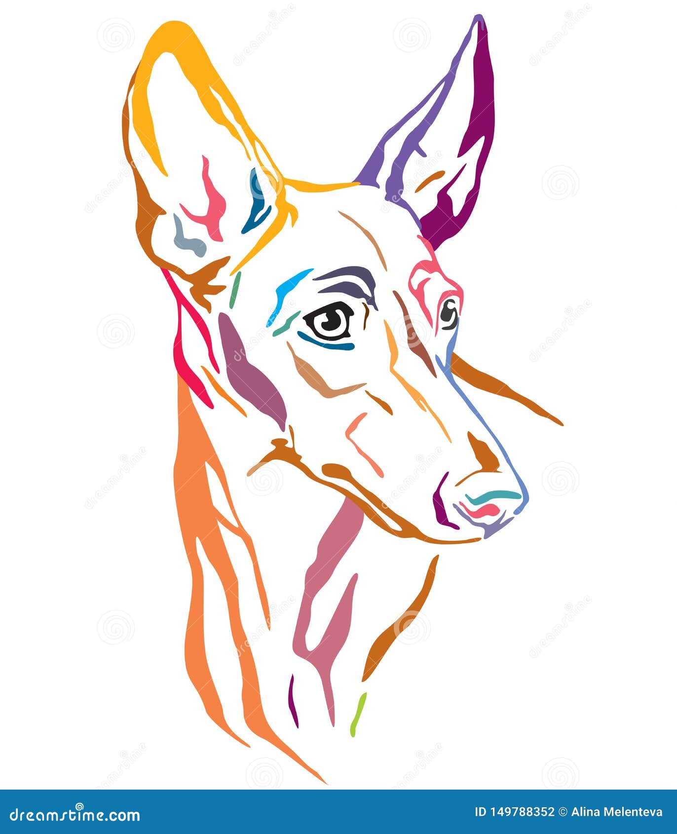 colorful decorative portrait of cirneco dell`etna dog  