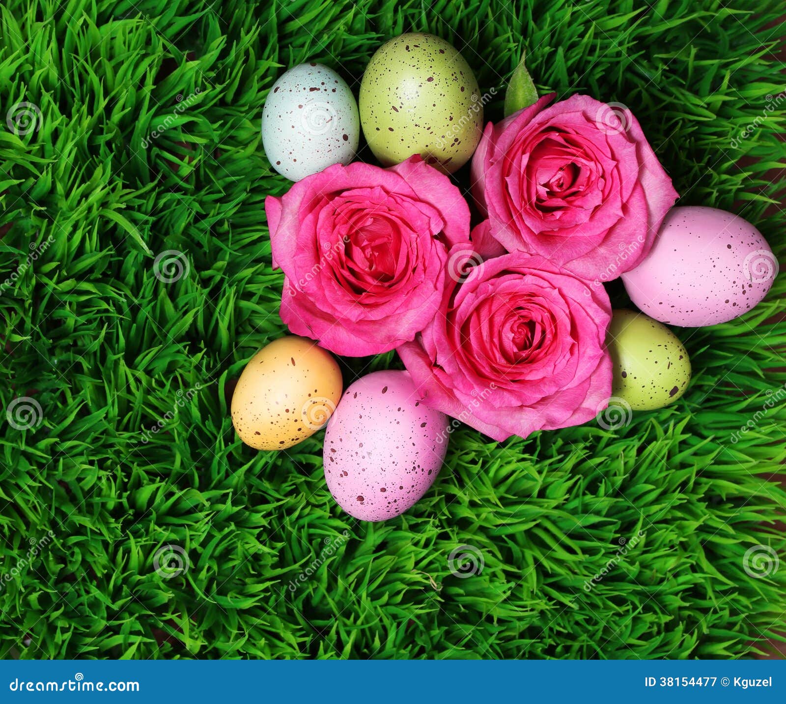 Colorful Easter Egg and Pink Roses on Green Grass Stock Image Image of celebration, festival