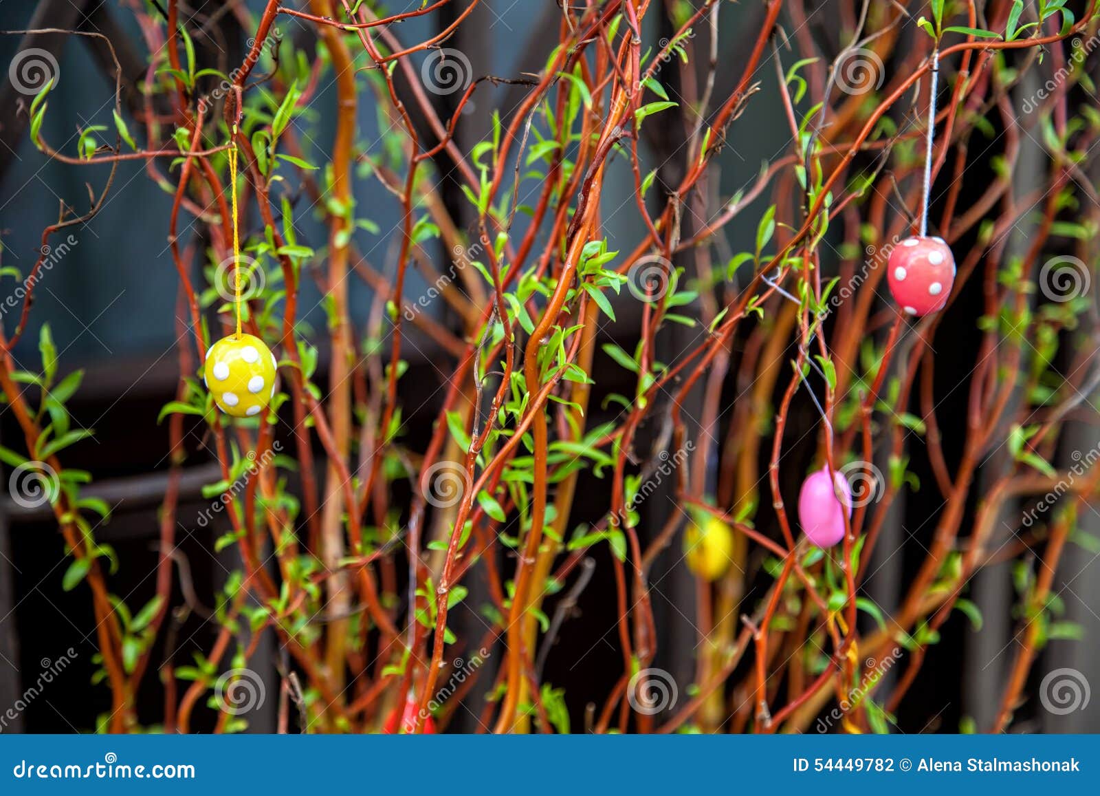 Colorful Easter Eggs Hanging on Branches Stock Photo Image of dinner