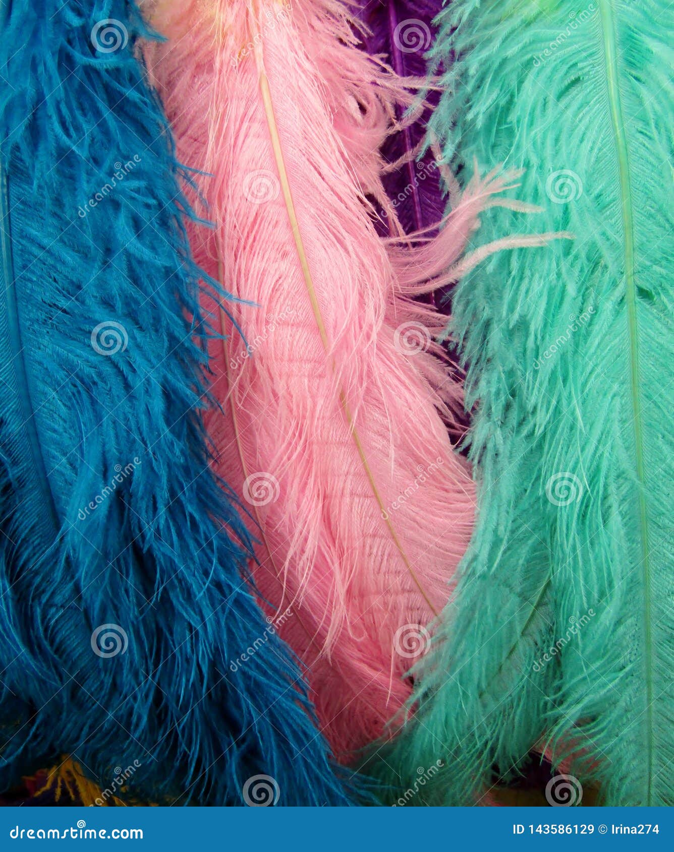 370 Bright Pink Feather Boa Stock Photos - Free & Royalty-Free Stock Photos  from Dreamstime