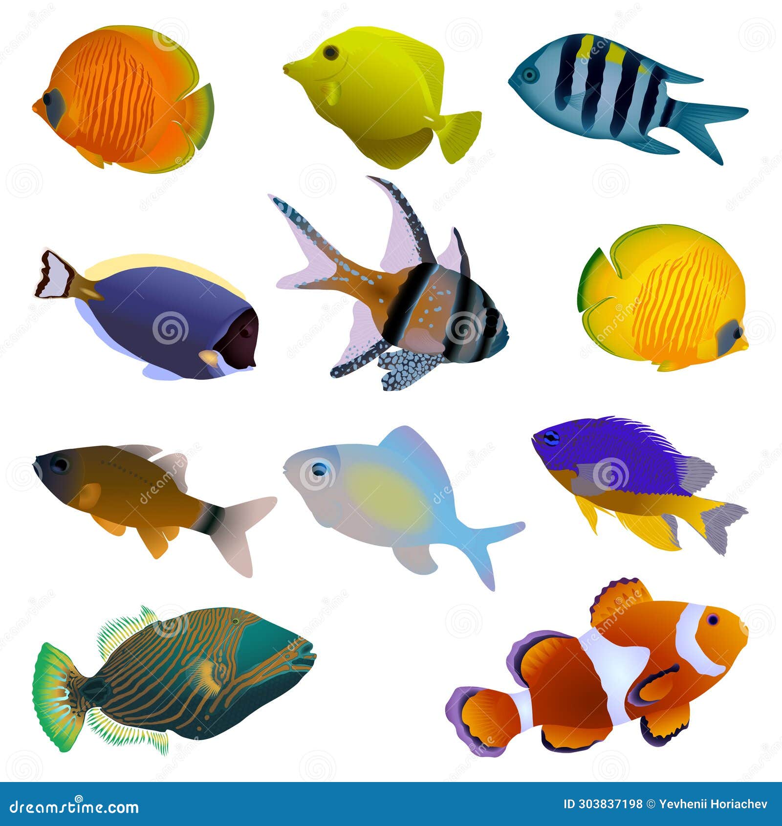 Colorful Fish Set. Tropical and Aquarium Fish Stock Vector