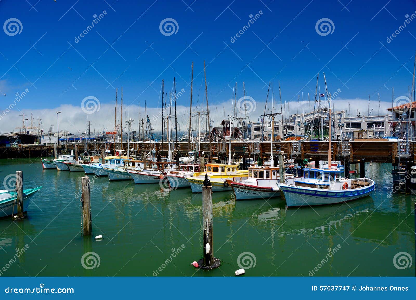 Fleet of Small Fishing Boats Around Pier 39, Fisherman's Wharf