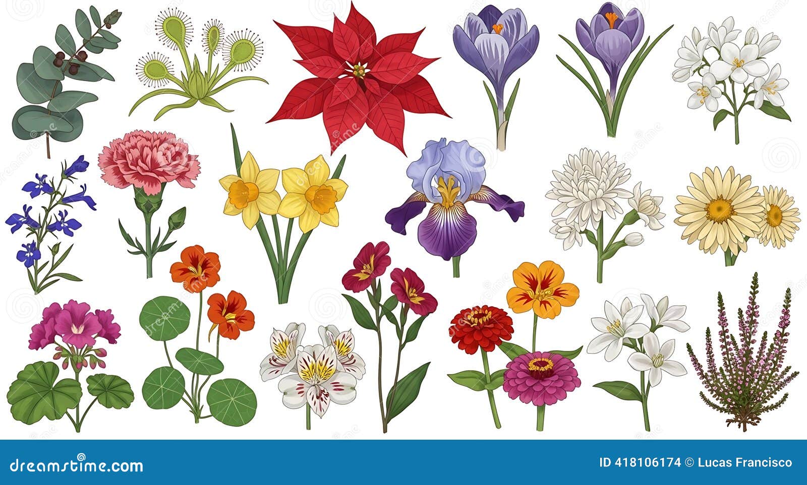Carnations Daffodils Stock Illustrations – 598 Carnations Daffodils Stock  Illustrations, Vectors \u0026 Clipart - Dreamstime, image size:1600x963