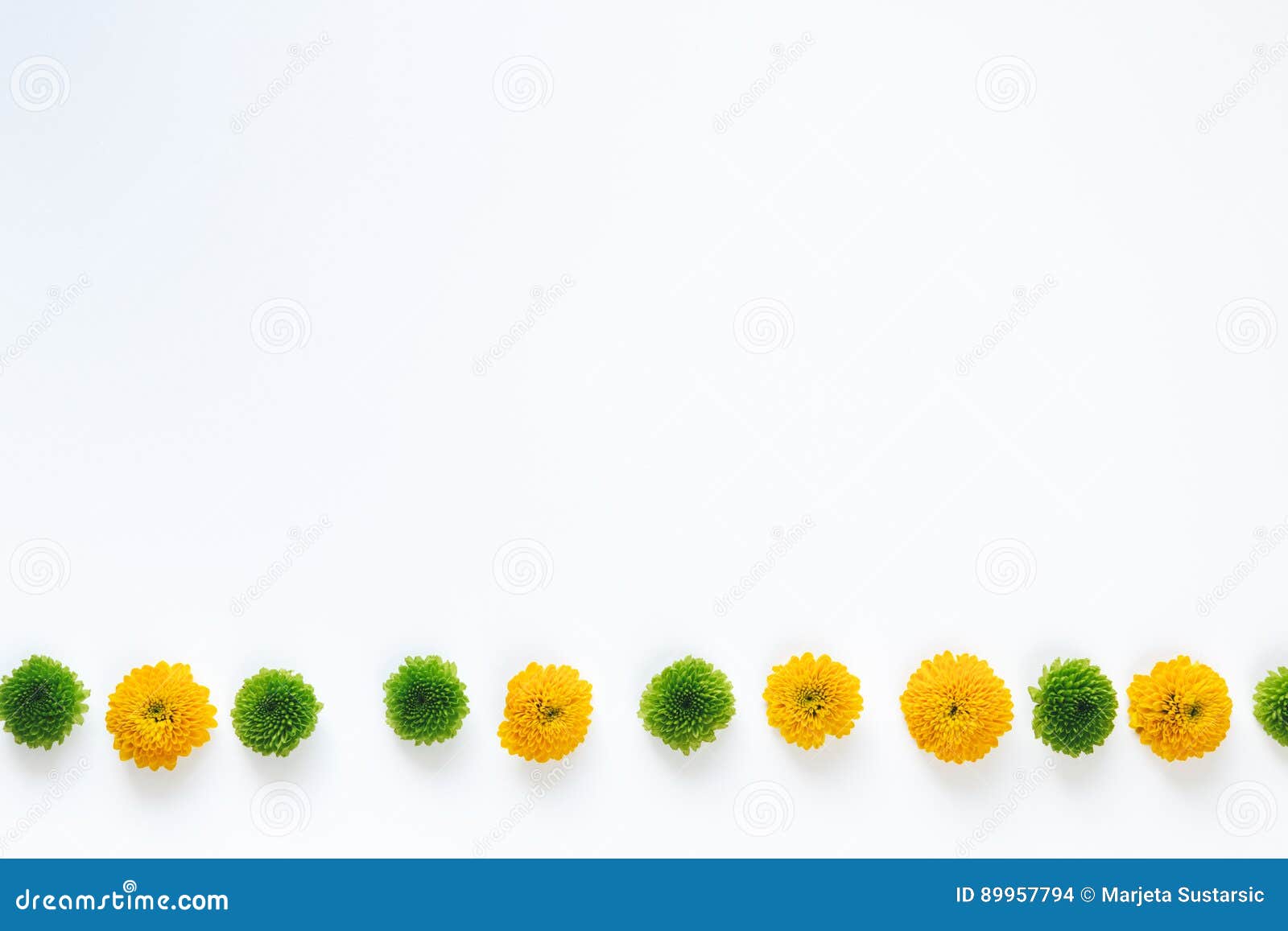Colorful Floral Border stock photo. Image of composition - 89957794