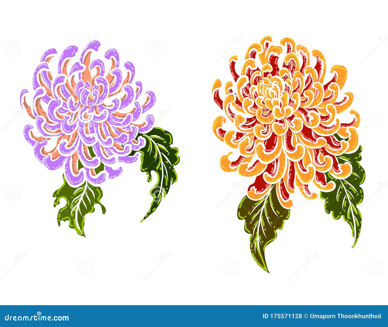 Chrysanthemum Flower Vector for Tattoo Design.Traditional Japanese ...