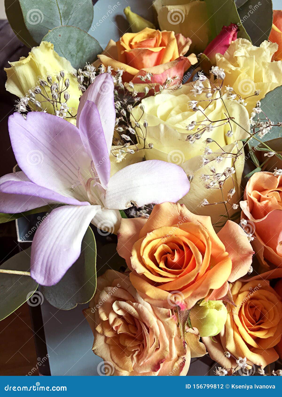 Colored Freesias and Gypsophila Bouquet Colored Freesias and Gypsophila Bouquet