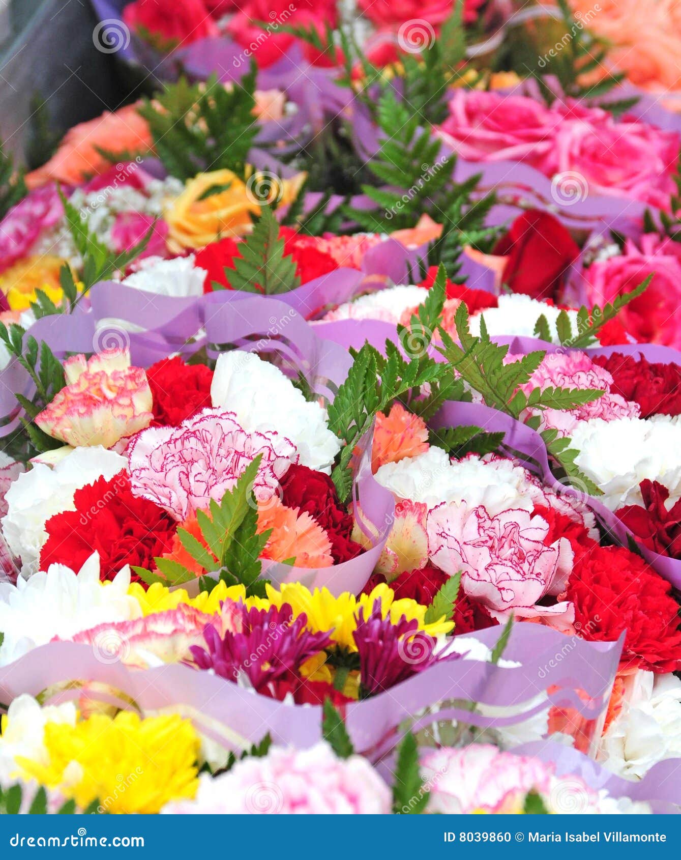 Colorful Flowers Bunch Picture. Image: 8039860