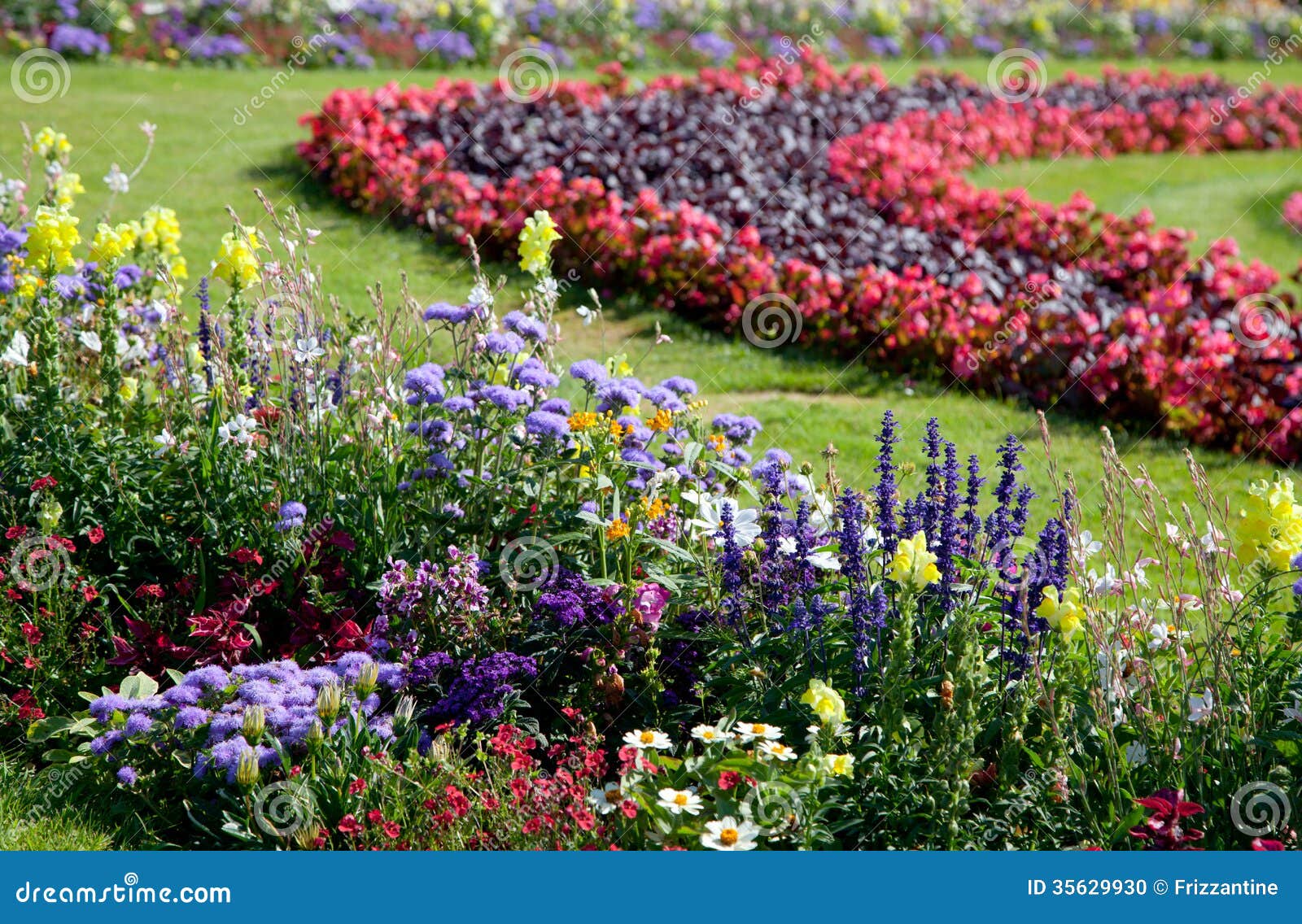 Colorful Flowers In The Garden. Stock Photo - Image of assortment