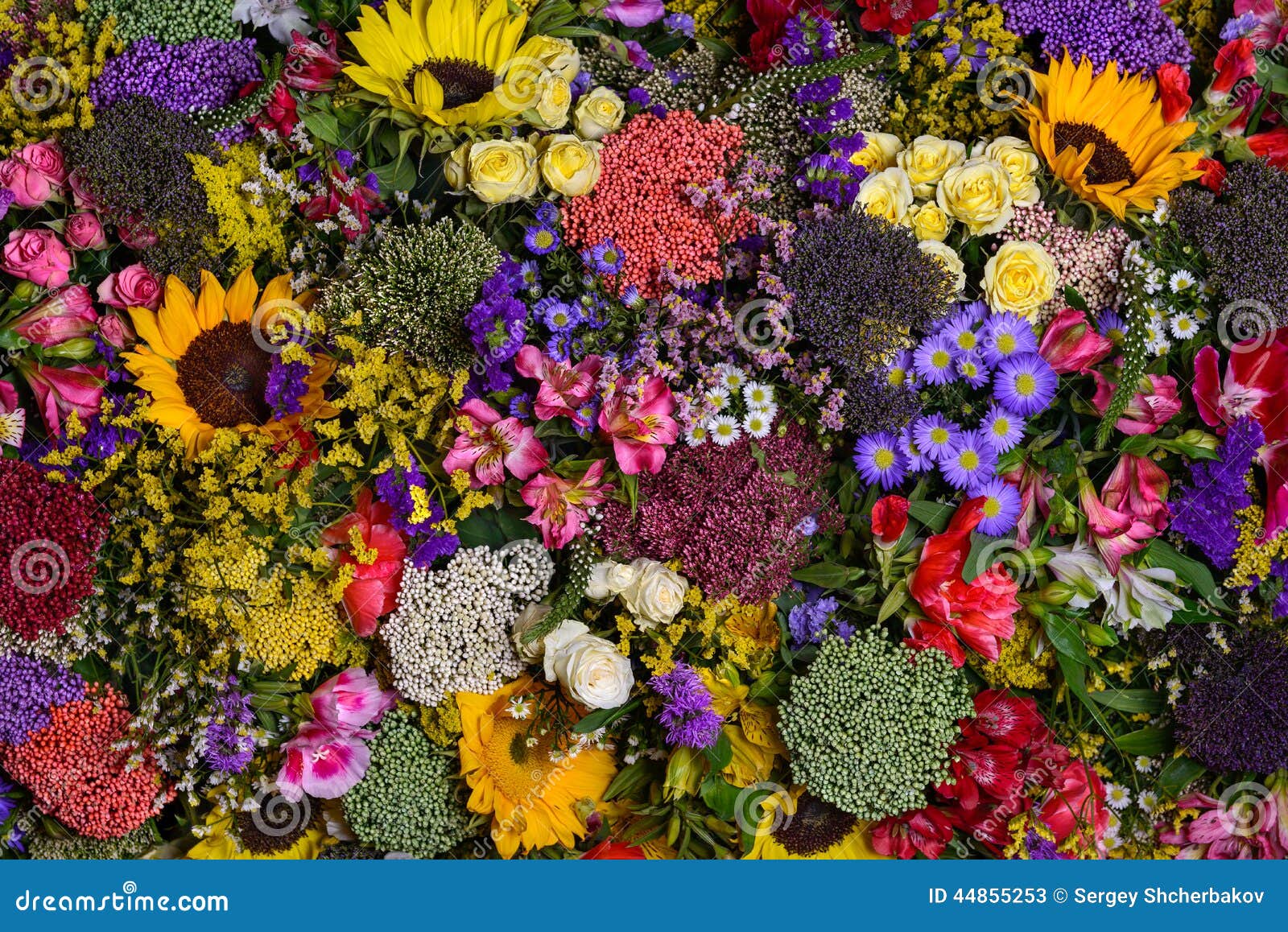 Colorful Flowers Stock Photo - Image: 44855253