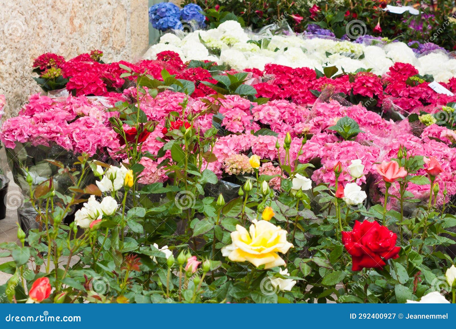 colorful flowers (roses, hydrangeas...) for sale on 