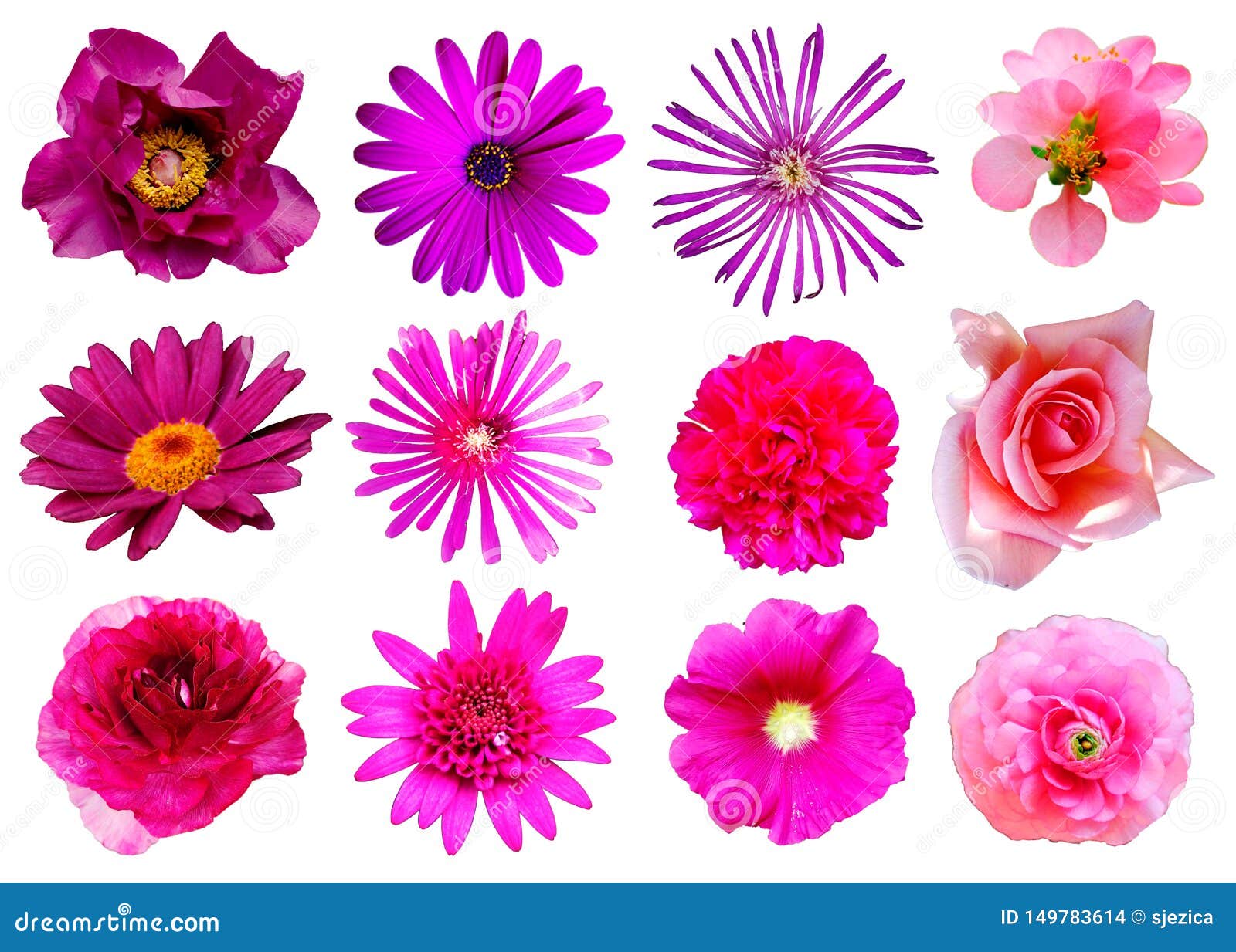 1 Floral Design Png Photos Free Royalty Free Stock Photos From Dreamstime