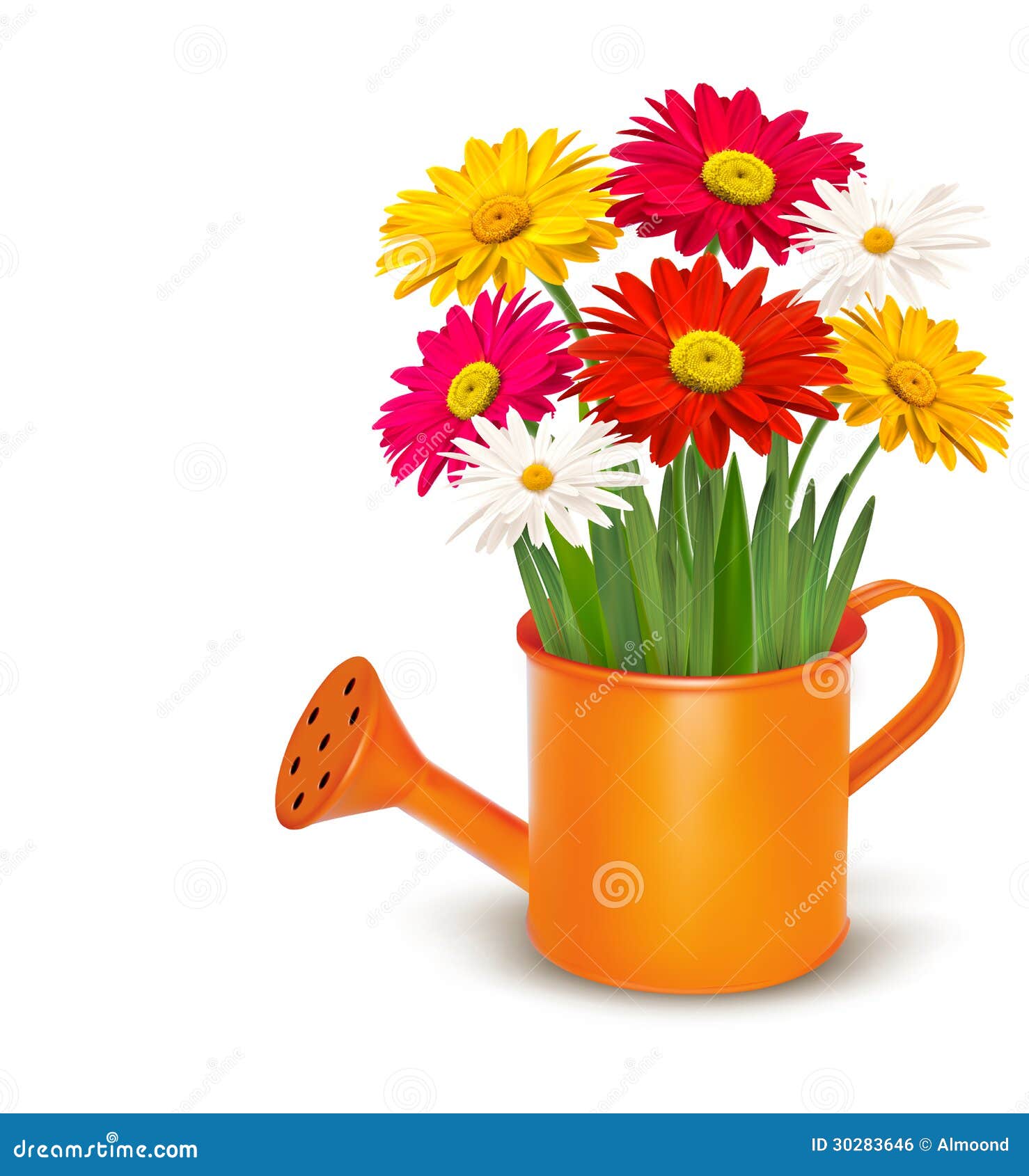 Colorful Fresh Spring Flowers in Orange Watering C Stock Vector ...