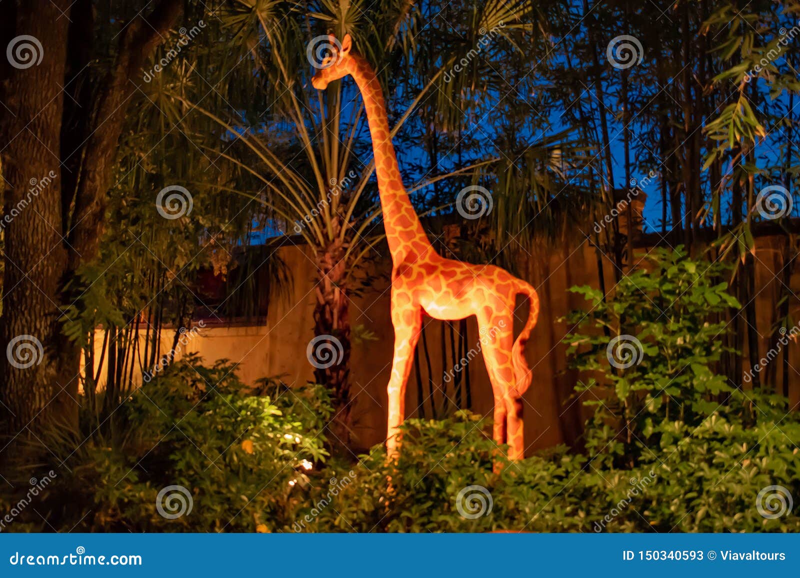 Colorful Giraffe in Animal Kingdom at Walt Disney World Area. Editorial  Stock Photo - Image of area, goofy: 150340593