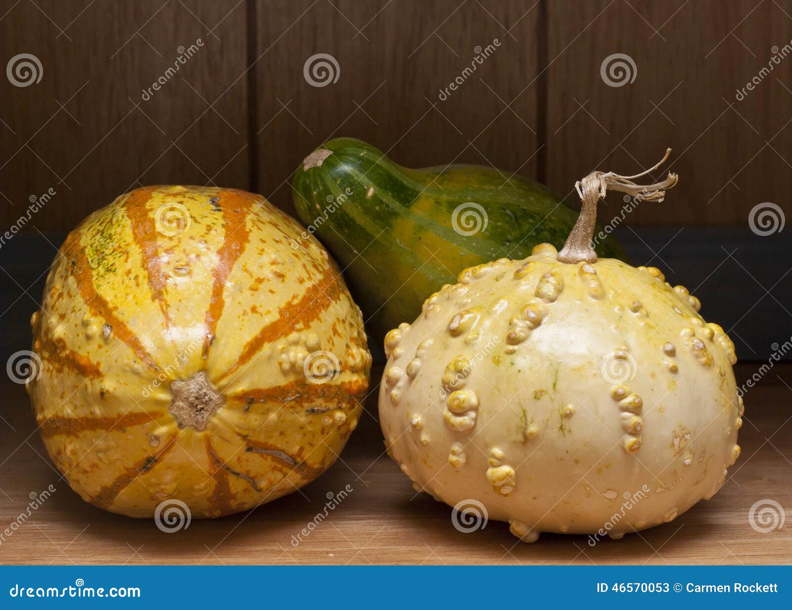 Colorful Gourds stock image. Image of give, warts, orange 46570053