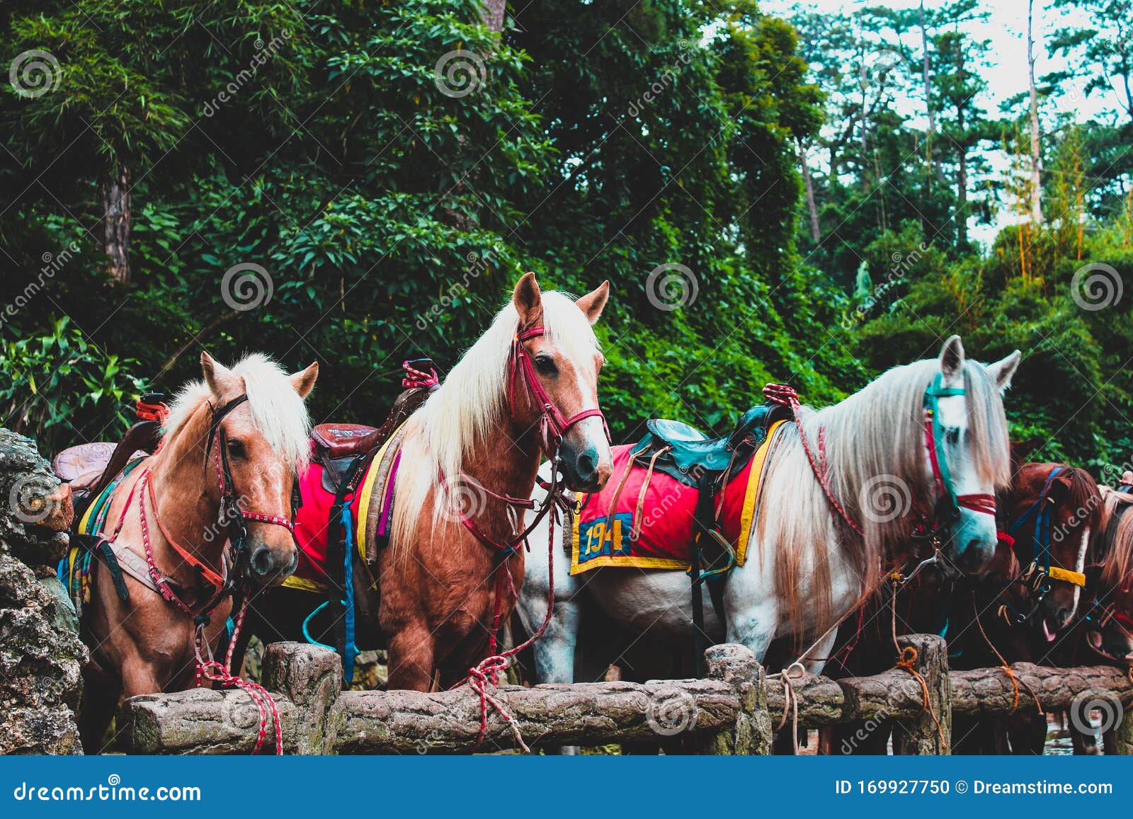 baguio tourist spot horse