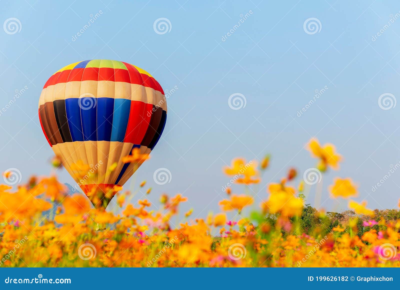 Colorful Hot Air Balloon Flying at the Natural Park and Garden. Outdoor ...