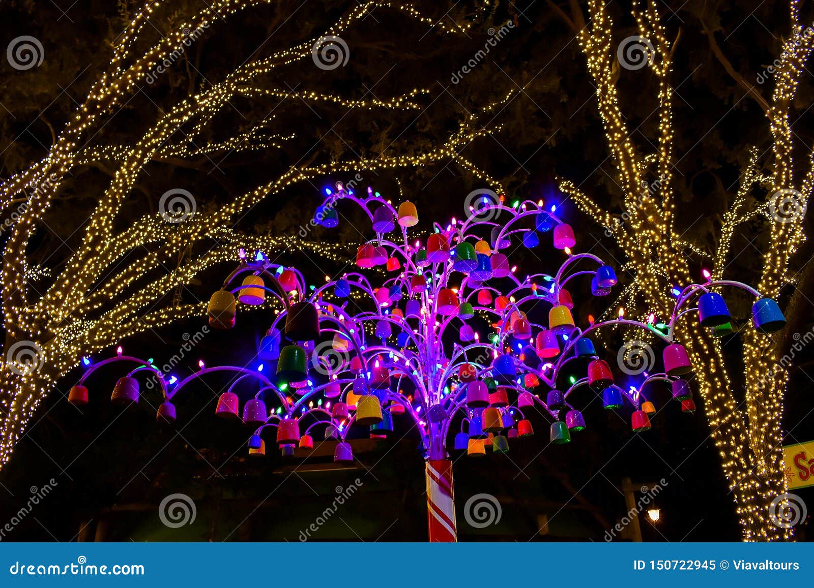 Colorful And Illuminated Christmas Trees At Busch Gardens 1