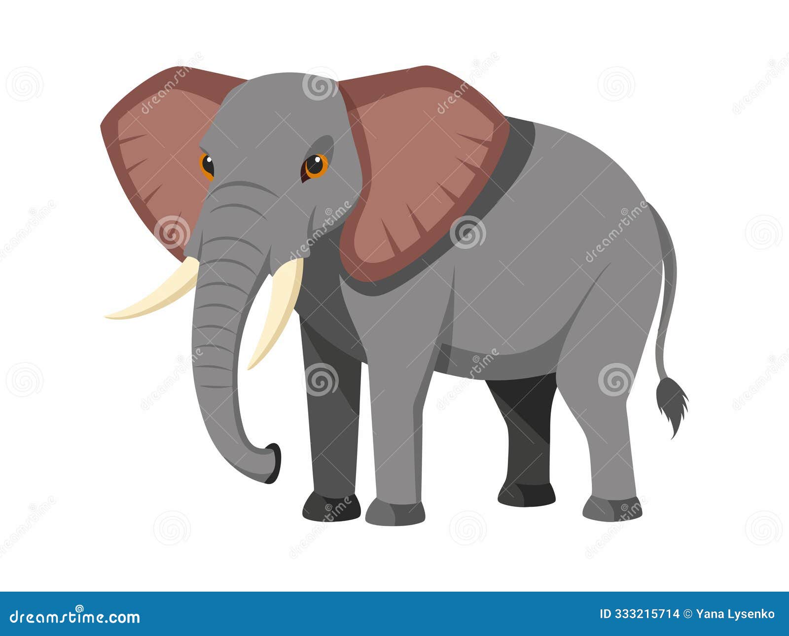 colorful  of an african elephant  on a white background. concept of wildlife, large mammal, african