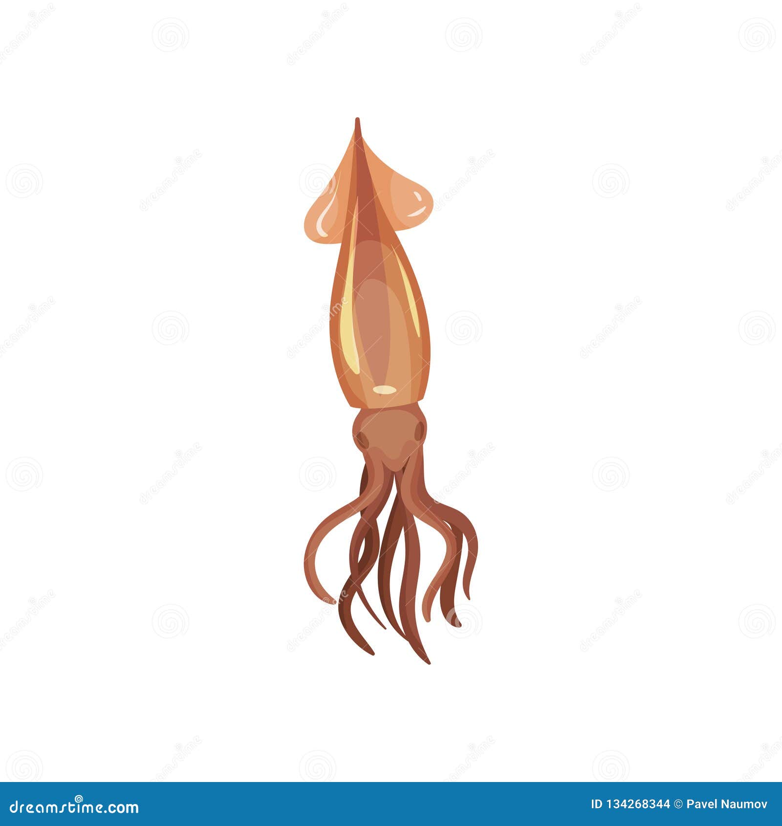 Detailed Flat Vector Icon of Swimming Squid. Water Animal with Tentacles. Sea Product. Marine Mollusk. Seafood Theme Stock Vector - Illustration of element, meal: 134268344 Detailed Flat Vector Icon of Swimming Squid. Water Animal with Tentacles. Sea Product. Marine Mollusk. Seafood Theme Stock Vector - Illustration of element, meal: 134268344